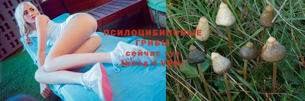 марки nbome Аркадак
